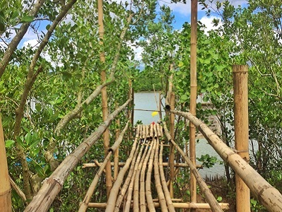 Naungan Mangrove Eco-Park