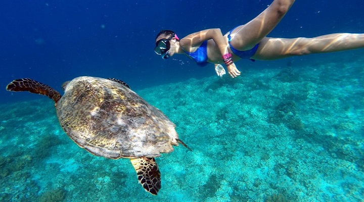 Cuatro Islas 6
